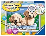 Ravensburger CreArt 27839 - Süße Hundewelpen - Malen nach Zahlen Hunde...