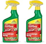 Neudorff Spruzit Schädlingsfrei Rosenspray AF 2x 750 ml saugende Insekten...