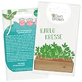 Garten Kresse Samen mit 1200x Kressesamen Kinder: Premium Gartenkresse...