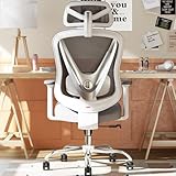 HOLLUDLE Ergonomischer Bürostuhl mit 3D Lendenstütze & 3D verstellbaren...