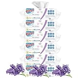 Bingo Reinigungs Streifenfrei Oberflächenreinigungstücher Kraftvolle...