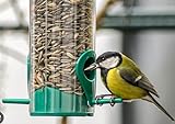 Italmix Sonnenblumenkerne für Wildvögel, Futter für Finken, Spatzen,...