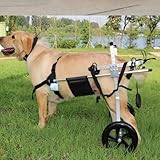 Verstellbarer Hunderollstuhl für Hinterbeine - Leichter Haustierwagen für...