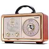 PRUNUS J-110 AM/FM/SW Retro Radio mit Bluetooth, Nostalgie Radio mit 3...