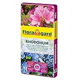 Floragard Rhodohum 40 L • Spezialerde • für Rohododendron, Azaleen,...