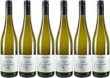 Baldes Zeller Schwarze Katz Müller-Thurgau 2024 Süß (6 x 0.75 l)