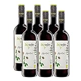 BIOrebe Merlot IGP Italien (6 x 0,75l)
