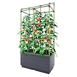 Bio Green Pflanzkübel CITYJUNGLE | Hochbeet für Balkon und Terrasse |...