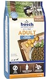 bosch HPC Adult mit Fisch & Kartoffel | Hundetrockenfutter für...