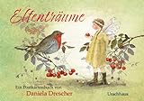 Postkartenbuch 'Elfenträume': Ein Postkartenbuch von Daniela Drescher