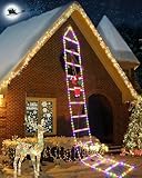 iShabao 3M Leiter Lichterkette mit Weihnachtsmann - 310 LED...