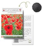 Klatschmohn Samen (Papaver rhoeas) - Wunderschön blühende Mohnblumen mit...