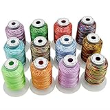 New brothread 12 Multi Farben Polyester Maschinen Stickgarn 500M (550Y)...