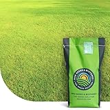 Dry & Strong Trockenrasen: SEHR GUT getestet | 15KG-750m2 | Für sonnige...