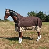 Brama-West Winterdecke Pferd 200g Big Horse - Weidedecke Highneck -...