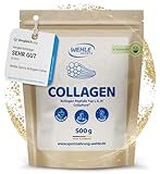 Collagen Pulver - Kollagen Hydrolysat Peptide, Eiweiß-Pulver...