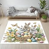 Dpvbffx Ostereier Kaninchen Teppich rutschfest, Schmetterling Pflanzen...