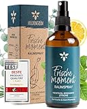 Heldengrün® Raumspray 'Frischemoment' [ECHTE BIO-ÖLE] Dermatologisch...