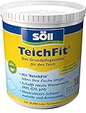 Söll 81794 TeichFit, 1 kg - Grundpflegemittel, Teich Wasseraufbereiter,...