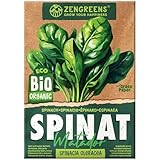 ZenGreens® - Bio Spinat Samen - Spinatsamen - Gemüsesamen für den...