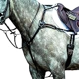 Collegiate Essential 5-Punkt-Brustgeschirr, Warmblut braun