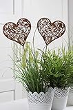 LB H&F 2er Set Gartenstecker Herz Rost Deko Design Stecker Ornament 32 cm...