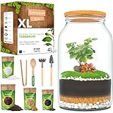 PYEF CRAFTS Flaschengarten Komplettset XL für Ökosystem im Glas - 4L...