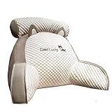 PW TOOLS Ice Silk Cute Reading Pillow,rückenkissen mit armlehnen,...