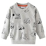 Little Hand Jungen Sweatshirt Jumper für Kinder Sweater Dinosaur...