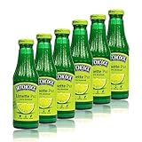 Hitchcock - 6er Pack Premium Limettensaft Pur 100% Direktsaft - Saft aus...