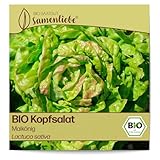 Samenliebe BIO Kopfsalat Samen alte Sorte Maikönig butterzarter...