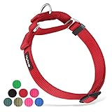 Hyhug Martingal Hundehalsband mit Schnalle: Ausbruchsicher, rutschfestes...