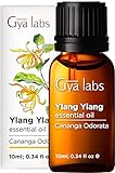 Gya Labs Ätherisches Ylang-Ylang-Öl (10 ml) – 100 % reine und...