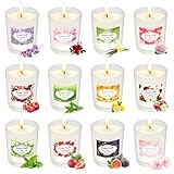 Candle Duftkerze im Glas | Weihnachten Duftkerze Geschenkset aus 12 Düft...