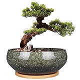 EPFamily Bonsai-Pflanztopf aus Keramik, glasiert, flach,...