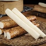 Yamswurzel yams - pflanzensamen zimmerpflanzen winterharte stauden...