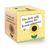 Celebrations Ecocube, Sonnenblume Bio Samen, Holzwürfel Mit Lasergravur...