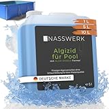 NASSWERK® Algenvernichter Pool flüssig 5l | Algizid für Pool um grünes...