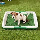 Hundetoilette mit Gitter & Auffangschale | 45x30 cm | Robust & Hygienisch |...