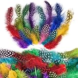 Deepton Federn zum Basteln, 300 Stück Bunte Federn basteln, Perlhuhn...
