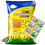 Rasensamen 5kg für Trockenrasen & Schattenrasen für 200m² - Samen...