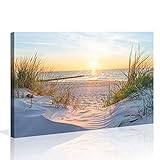 Visario 120 x 80 cm Bild auf Leinwand Dünen Nordsee Ostssee 5009 deutsche...