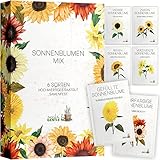 Sonnenblumen Samen Set - 6 Sorten in Samentütchen für die eigene Anzucht...