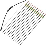 Pfeil und Bogen Set Takedown Recurvebogen und 12er Fiberglaspfeiles für...