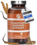 QIDOSHA® Cordyceps sinensis Extrakt Kapseln, TESTSIEGER 02/2023*, 180 Stk,...