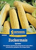 Kiepenkerl Profi-Line Zuckermaissamen Sprinter 1039560 für 25 Pflanzen -...