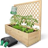 holz4home® Pflanzkasten mit Rankgitter XL aus Kiefernholz I 44x128x104 cm...