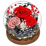 CSYY Ewige Rose, Muttertagsgeschenk Glas mit Licht Infinity Rose...