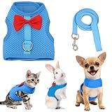 AIITLE Katzengeschirr- und Leinen-Set mit süßer Schleife, weiches,...