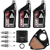 New 1999-2007 Honda VT 600 VT600 Shadow VLX OE Complete Oil Service Tune-Up...